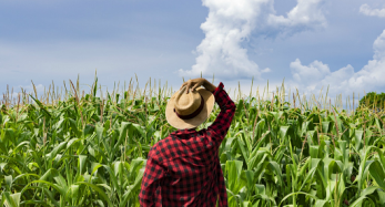 Immigration programs for the Farmers